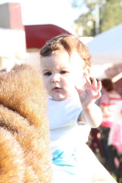 Garden Show & Spring Festival Part 2